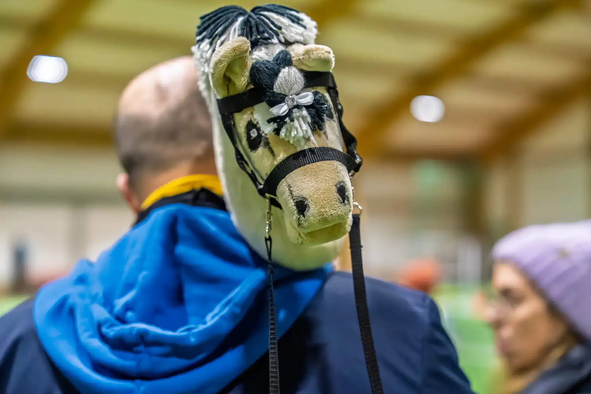 Współpraca z Hobby Horse Club