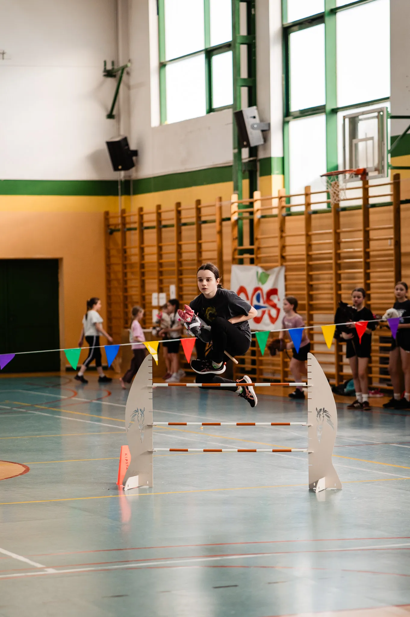 Galeria zdjęć 11 z 12